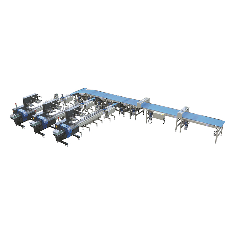 Sinking & Dividing Type Fully Automatic Feeding Line