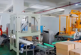 Steam Buns: Case erecting, filling and sealing + palletizing system